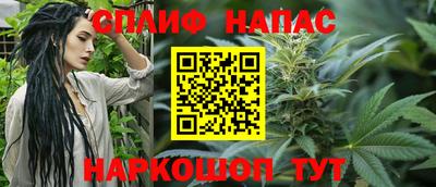 шишки Нарткала