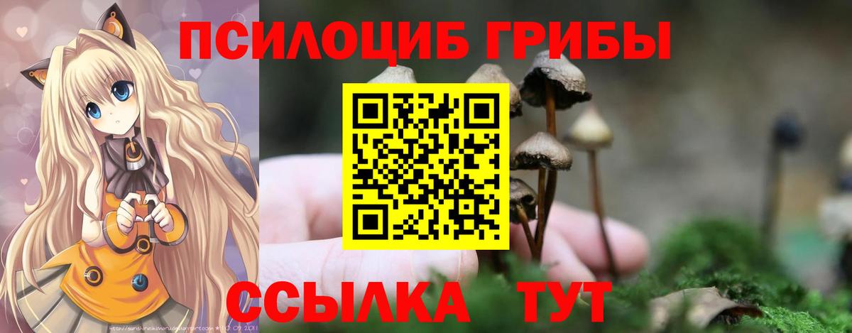 Тверь  Галлюциногенные грибы Psilocybine cubensis  Вход с VPN 