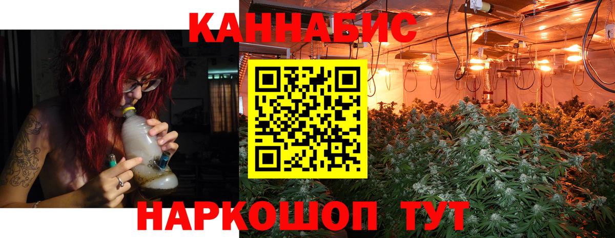 Марихуана конопля  Канабис White Widow  Вход с VPN  Бошки Шишки Amnesia  Тверь 